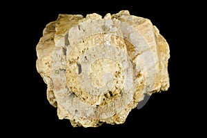 Nice feldspar crystal