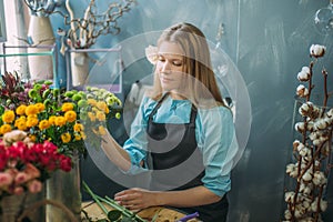 Nice female choosing fresher mimosas for bouquet indoors