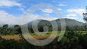 Nice field view in myanmar while trekking in kalaw