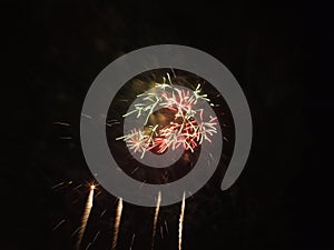 Fireworks in the night photo