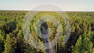 Nice flight over boundless forested area with car on road