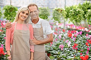 Nice florists working in the greenhouse