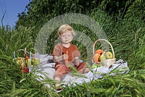 nice and funny fair-haired kid holds a big ripe carrot, basket with fruits on green grass