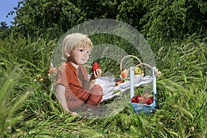 nice and funny fair-haired kid holds a big ripe strawberry, basket with fruits on green grass