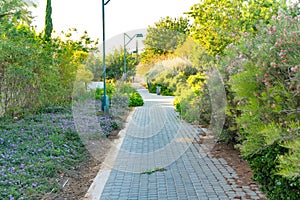 Nice garden path view with grass and trees