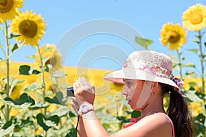 Nice girl wearing a pink hat, taking a picture in a field of sunflowers