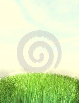 Nice Grass Lawn Background