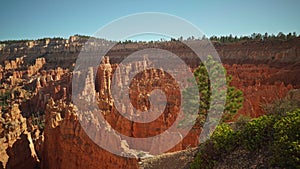 Nice green pine tree in the foreground at Sunset Point at Bryce Canyon