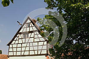 Half timbered house in a village in Alsace