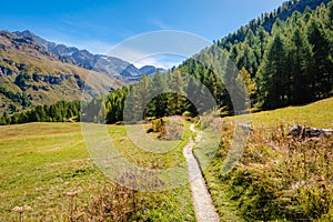 Nice hiking trail in the gorgeous Fex Valley Engadin, Switzerland