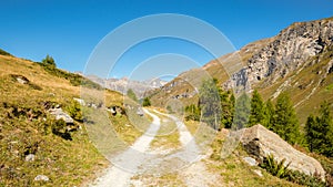 Nice hiking trail in the gorgeous Fex Valley Engadin, Switzerland