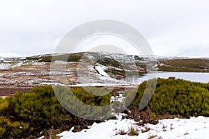 Nice horizontal view of a lagoon with snowy mountains in the background, without pollution, without people, from the bushes