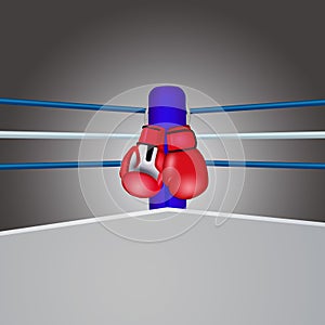 Illustration of Boxing ring