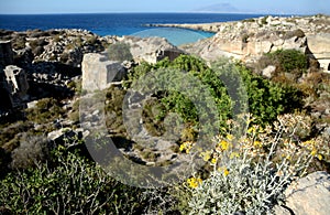 The nice island of Favignana