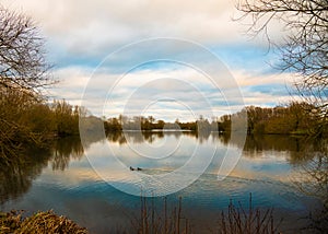 Nice lake with reflection and ducks in the countryside in Buckinghamshire