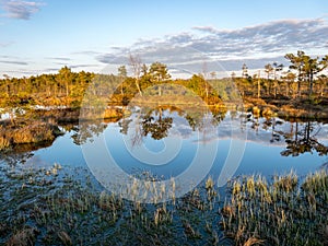 Nice landscape with evening and sunset over the bog lake, crystal clear lake and peat island in the lake and bog vegetation, bog