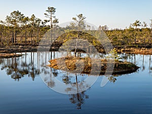 Nice landscape with evening and sunset over the bog lake, crystal clear lake and peat island in the lake and bog vegetation, bog