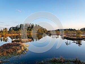 Nice landscape with evening and sunset over the bog lake, crystal clear lake and peat island in the lake and bog vegetation, bog