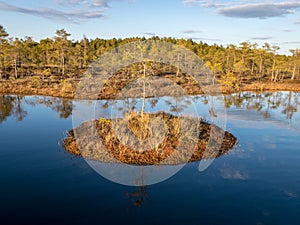 Nice landscape with evening and sunset over the bog lake, crystal clear lake and peat island in the lake and bog vegetation, bog