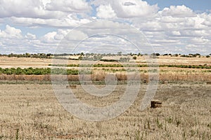 Nice landscape of straw bales in the field