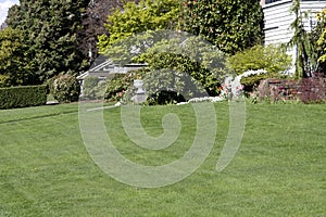 Nice lawn in front yard
