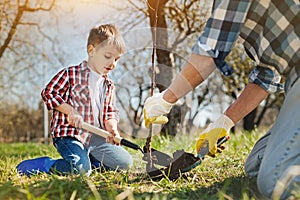 Nice little boy and his father planting a tree