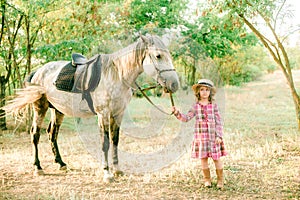 A nice little girl with light curly hair in a vintage plaid dress and a straw hat and a gray horse