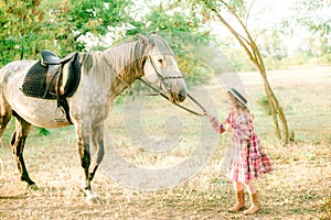 A nice little girl with light curly hair in a vintage plaid dress and a straw hat and a gray horse