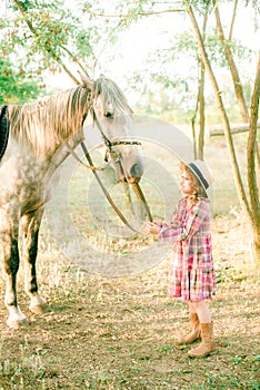 A nice little girl with light curly hair in a vintage plaid dress and a straw hat and a gray horse