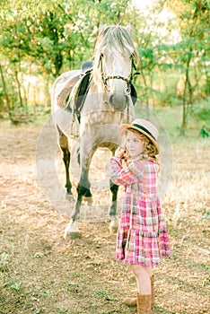 A nice little girl with light curly hair in a vintage plaid dress and a straw hat and a gray horse