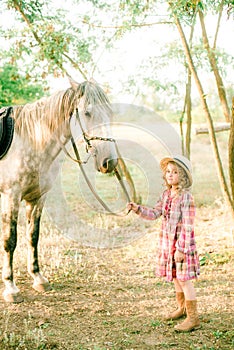 A nice little girl with light curly hair in a vintage plaid dress and a straw hat and a gray horse