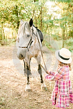 A nice little girl with light curly hair in a vintage plaid dress and a straw hat and a gray horse. Horses a