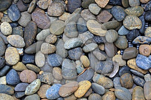 These nice little round colored pebbles were found alongside the beach where a river empties. This lovely natural pattern of pebbl photo