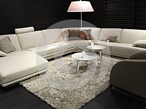 Nice living room furniture selling at store