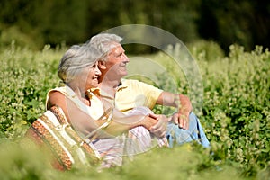 Portrait of nice mature couple sitting on green grass in summer park