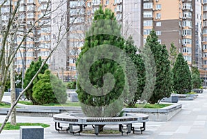 Nice modern leisure city park with benchs surrounded high-rise building.