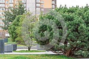 Nice modern leisure city park with benchs surrounded high-rise building.