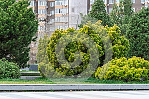 Nice modern leisure city park with benchs surrounded high-rise building.