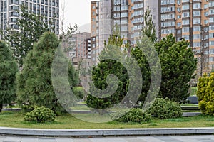 Nice modern leisure city park with benchs surrounded high-rise building.