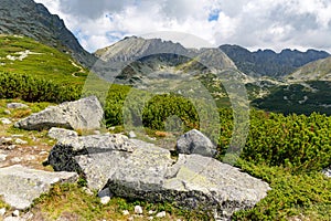 Nice mountain scene with old stones on green meadow