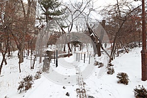 nice nature photography winter in kyung hee Park Seoul south korea photo