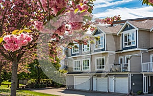 Nice neighborhood on a sunny day. Row of garage doors at parking area for townhouses.Garage door with short driveway