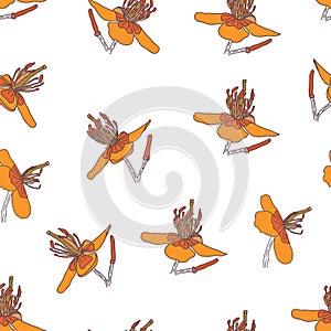 Nice Orange Flower Pattern Background