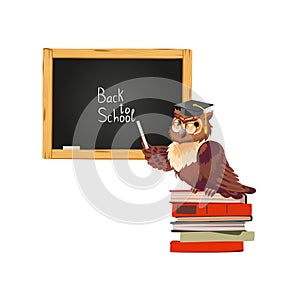 Nice owl sitting on the stack of books and pointing a blackboard with the text back to school