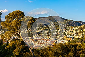 Nice panorama with Riquier, Cimiez and Saint Roch historic old town districts with Alpes mountains in France