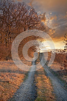 Nice pathway in a sunset light