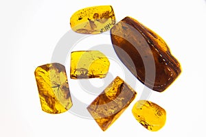 nice pieces of amber with included insekts