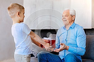 Nice pleasant boy giving a present to his grandfather