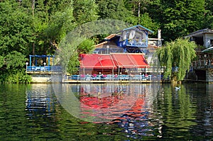 Nice pond summer view