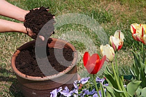 Nice potting soil